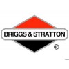 BRIGGS & STRATTON