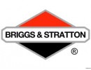 BRIGGS & STRATTON